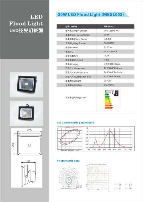 30W LED Flood Lights